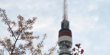 Tokio: Tokyo Tower