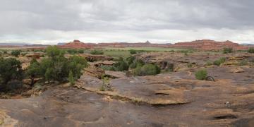 Kayenta - Moab